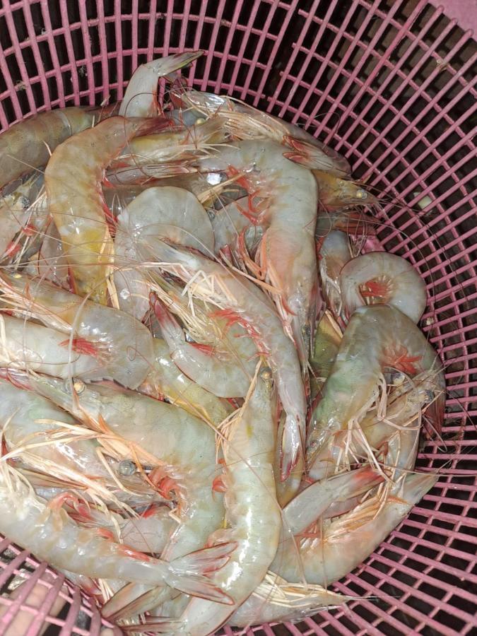 Big hug home Đảo Koh Yao Noi Ngoại thất bức ảnh
